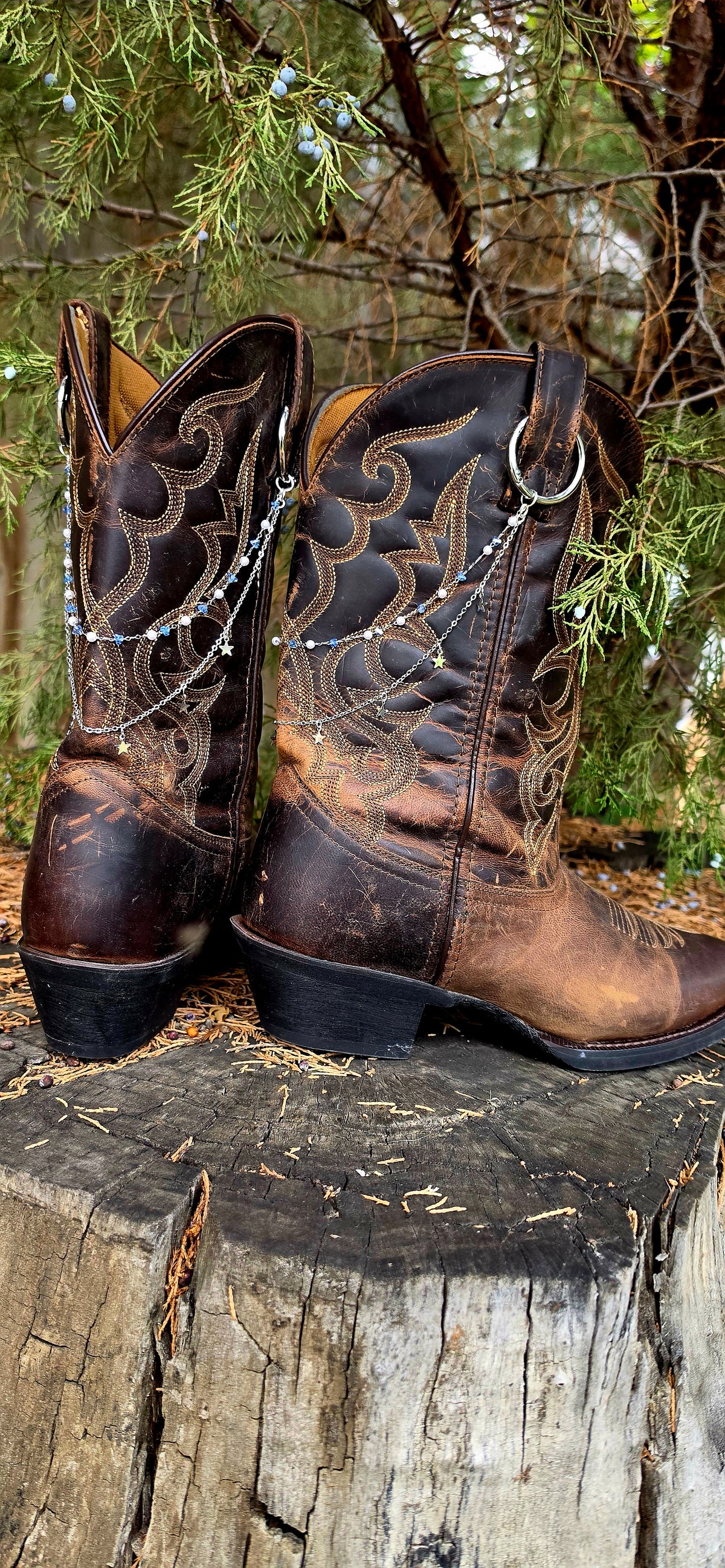 ⭐ Western Star Boot Bling